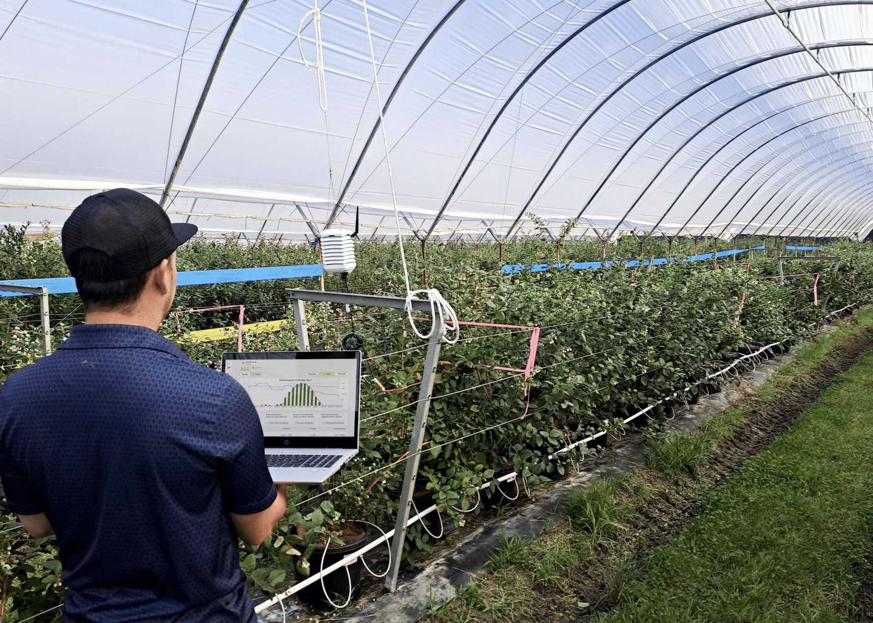 WayBeyond has deployed its FarmRoad platform within Costa Group’s Variety Improvement Program (VIP), focused on blueberry R&D.