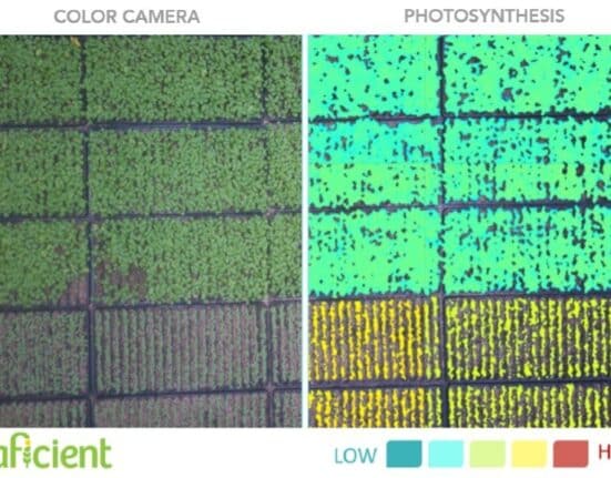 Sollum Technologies and Leaficient are developing a closed-loop, plant-adaptive dynamic lighting system for controlled environment agriculture.