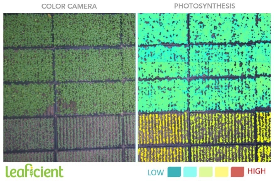 Sollum Technologies and Leaficient are developing a closed-loop, plant-adaptive dynamic lighting system for controlled environment agriculture.