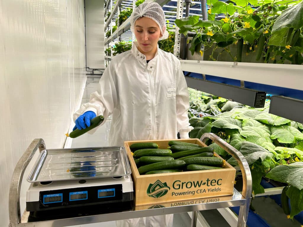 cucumber-WEIGHING