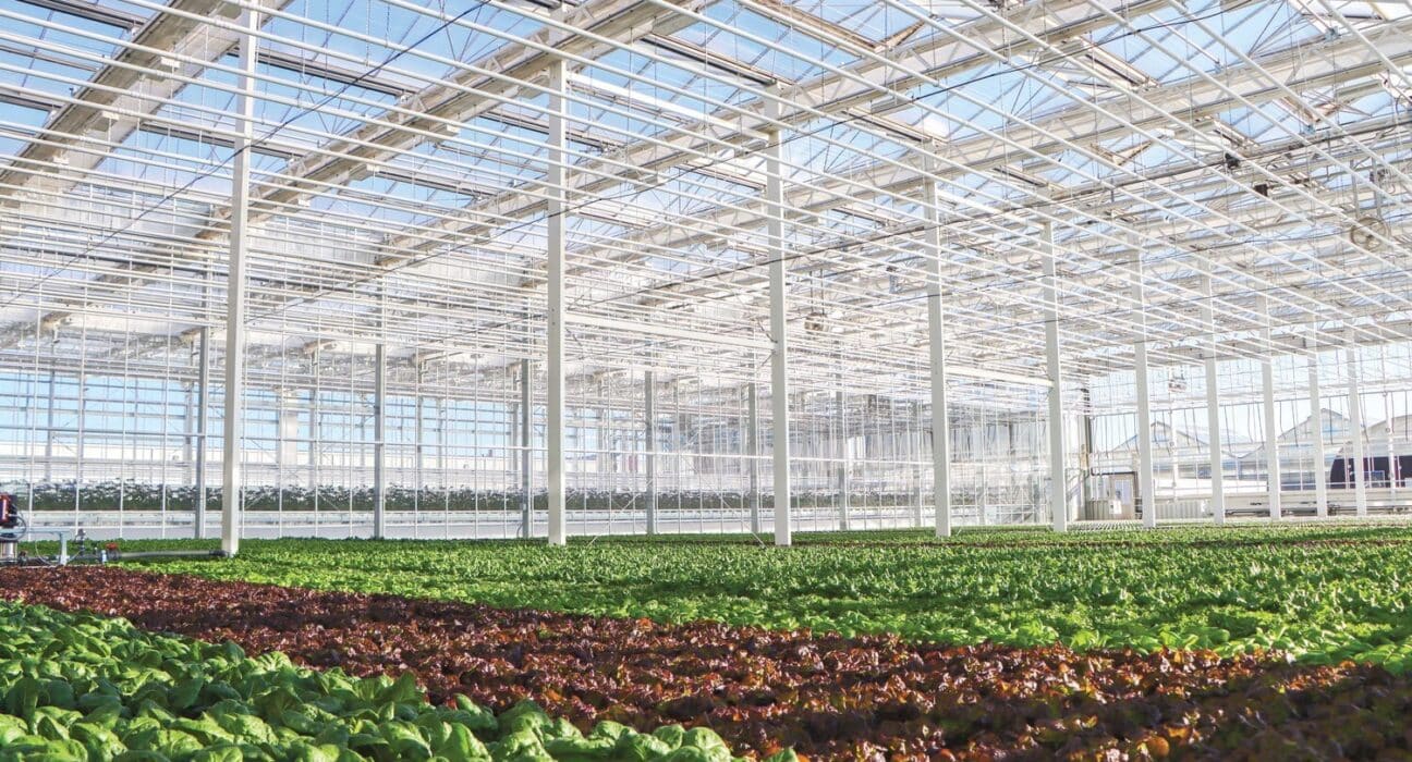 GrowSpan Greenhouse Structures will celebrate the grand opening of its new state-of-the-art Venlo greenhouse on April 3rd, 2025, in Dyersville, Iowa.