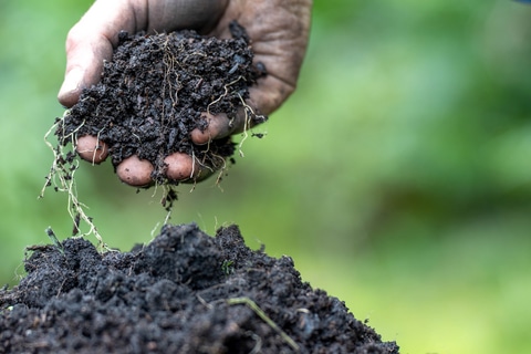 FoodChain ID and Agmatix partner to accelerate regenerative agriculture with certification credibility and AI-powered actionable insights.