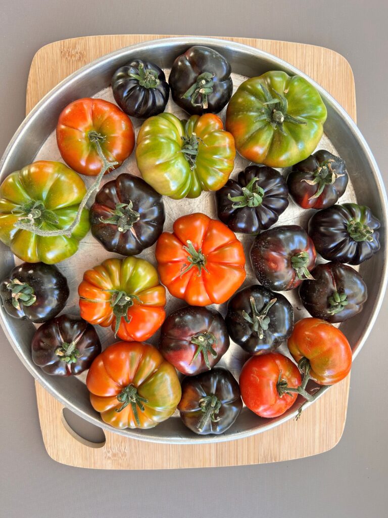 tomatoes-plate