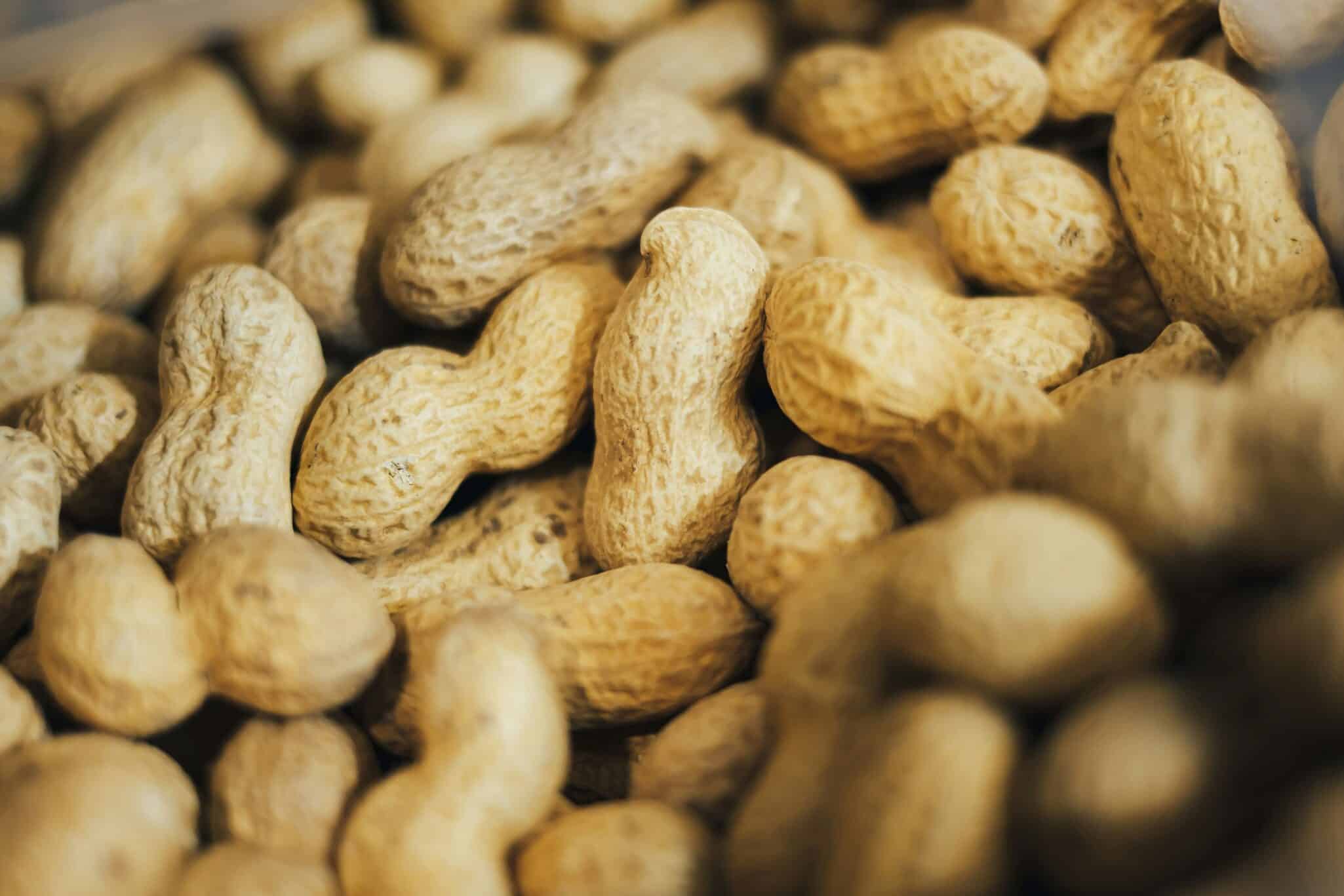 Mars, Incorporated today unveiled the Mars Protect the Peanut Plan, an initiative designed to address threats to global peanut production.