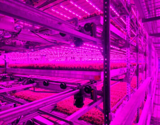 80 Acres Farms® and Soli Organic® have merged to create one of the largest indoor farming networks globally.