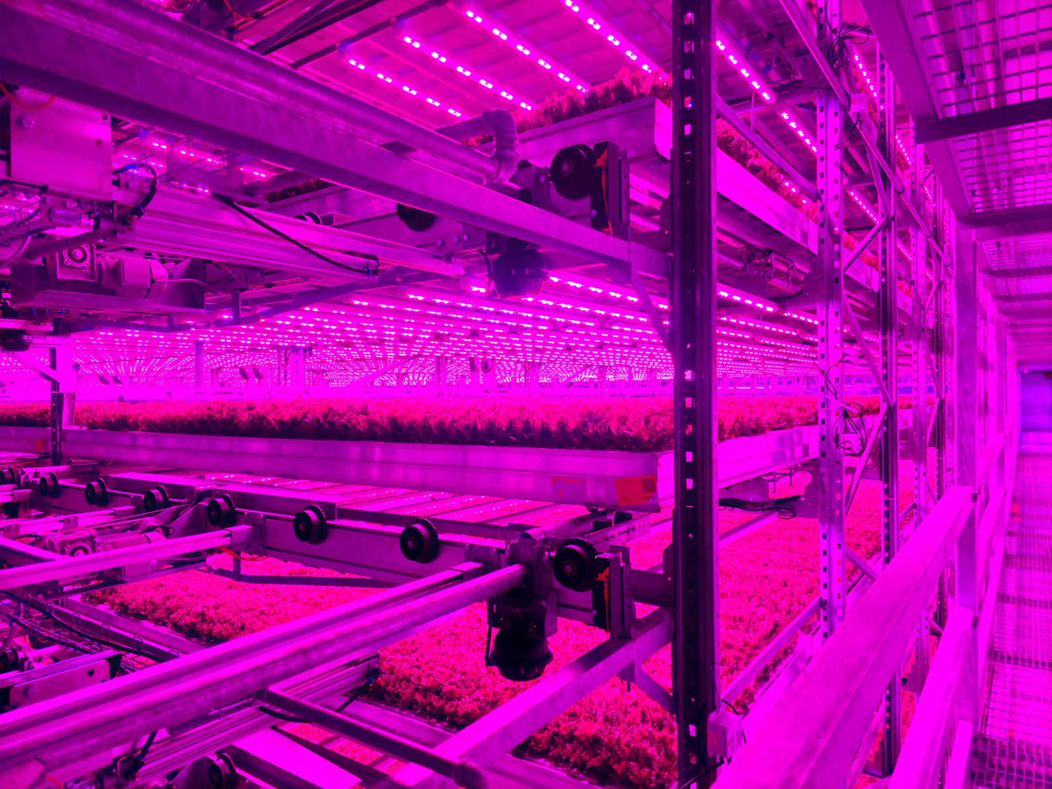 80 Acres Farms® and Soli Organic® have merged to create one of the largest indoor farming networks globally.