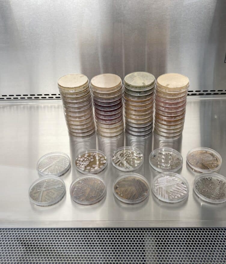Jord BioScience leverages a 30-year microbial collection to develop high-performing biofertilizers and biopesticides.