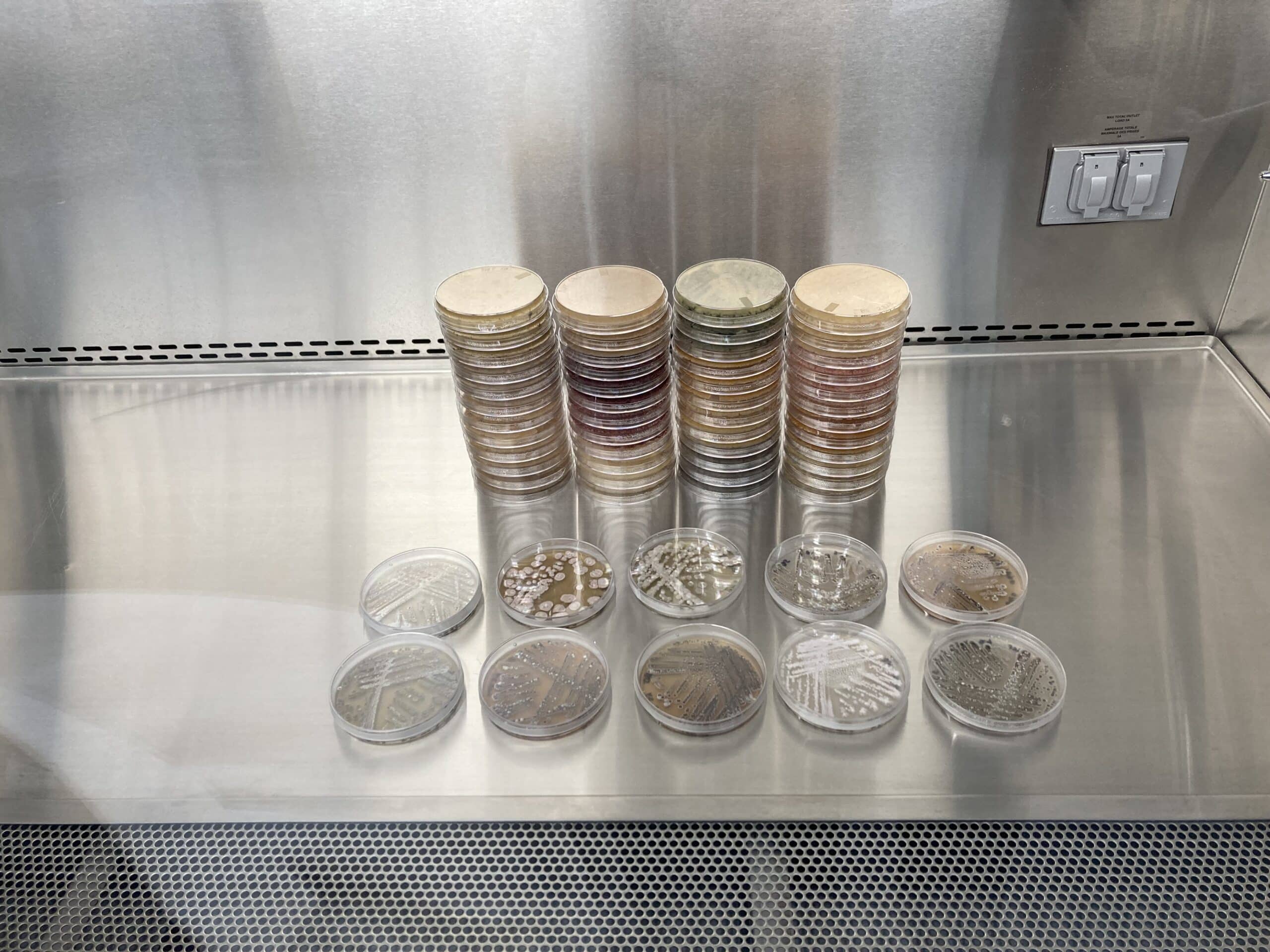Jord BioScience leverages a 30-year microbial collection to develop high-performing biofertilizers and biopesticides.