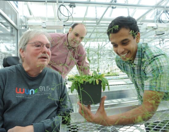 Jeffery L. Dangl, along with Jonathan D.G. Jones and Brian J. Staskawicz, received the 2025 Wolf Prize in Agriculture for their contributions to understanding plant immune systems.