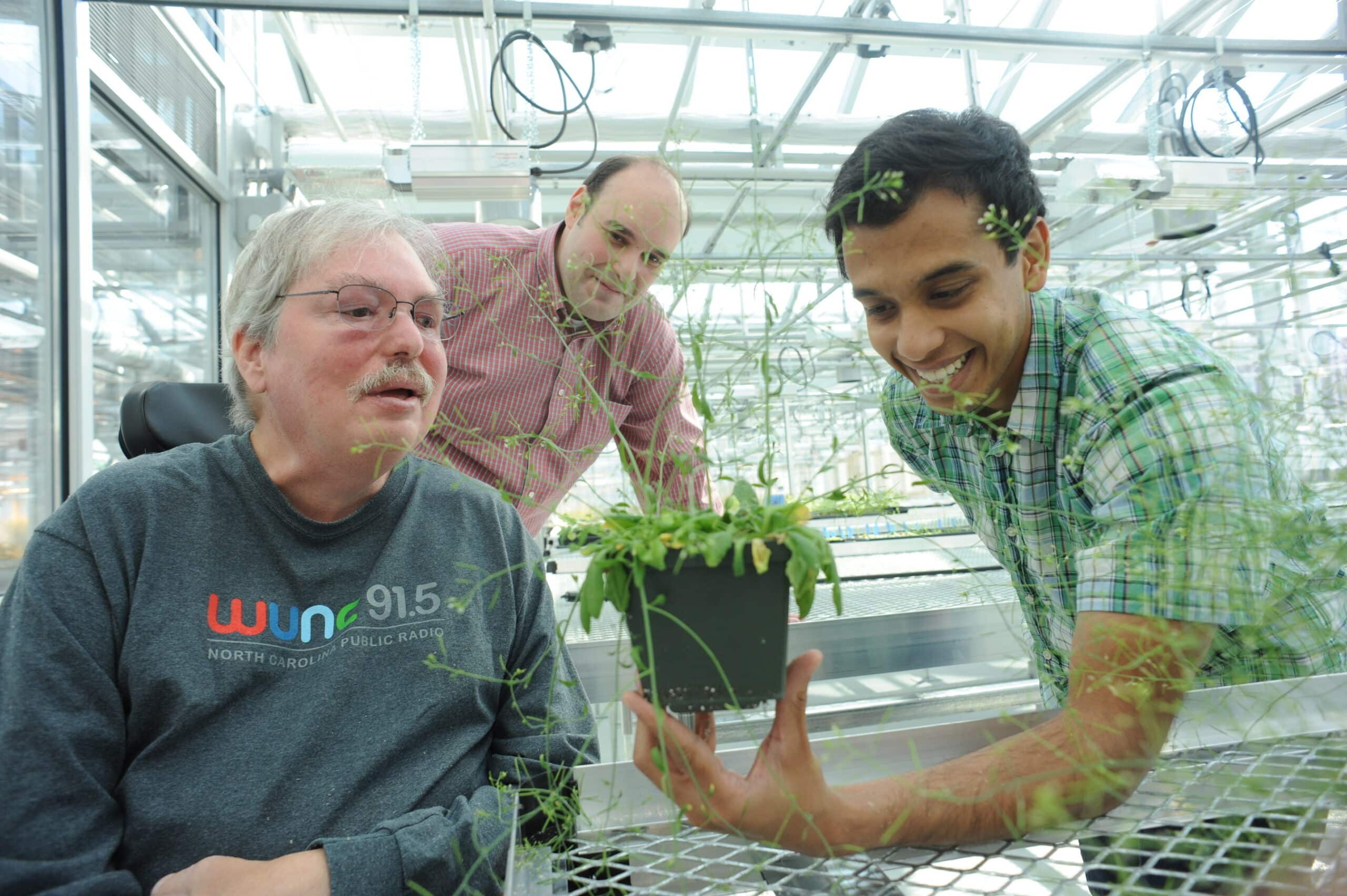 Jeffery L. Dangl, along with Jonathan D.G. Jones and Brian J. Staskawicz, received the 2025 Wolf Prize in Agriculture for their contributions to understanding plant immune systems.