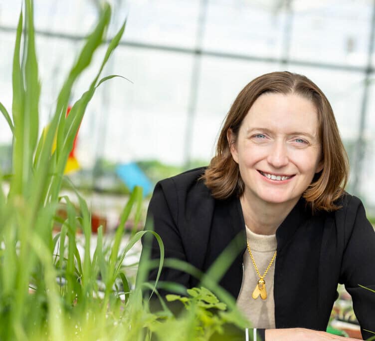 Moa Technology & Certis Belchim announced a new collaboration focused on the development of next-generation Moa Amplifier™ solutions.