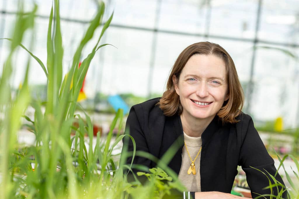 Moa Technology discovers new weed control chemistries and amplifier molecules, partnering with Gowan to advance sustainable herbicide use.