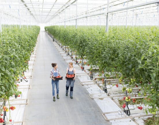 Resource Innovation Institute (RII) has published a new guide, Fire Safety in High-Tech Production Greenhouses.