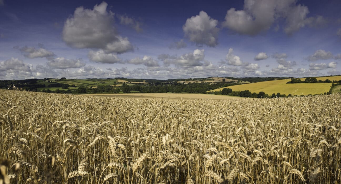 Enko Chem announced successful European field trials targeting herbicide-resistant blackgrass in winter wheat.