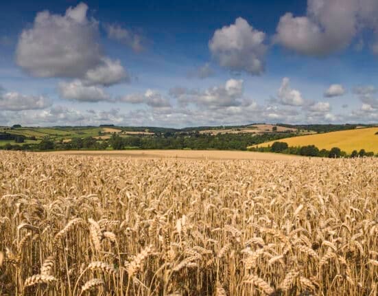 Enko Chem announced successful European field trials targeting herbicide-resistant blackgrass in winter wheat.