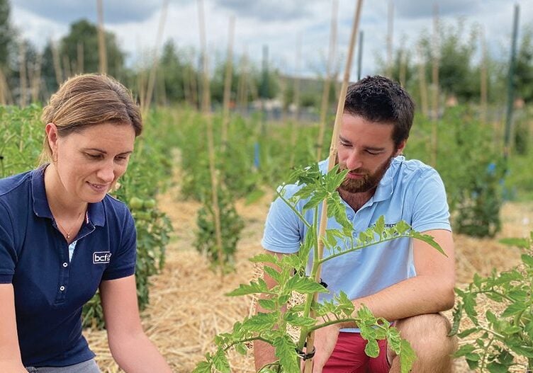 BCF Life Sciences has been granted a new patent for its LEAFAMINE® technology in soil regeneration and growing media enhancement.