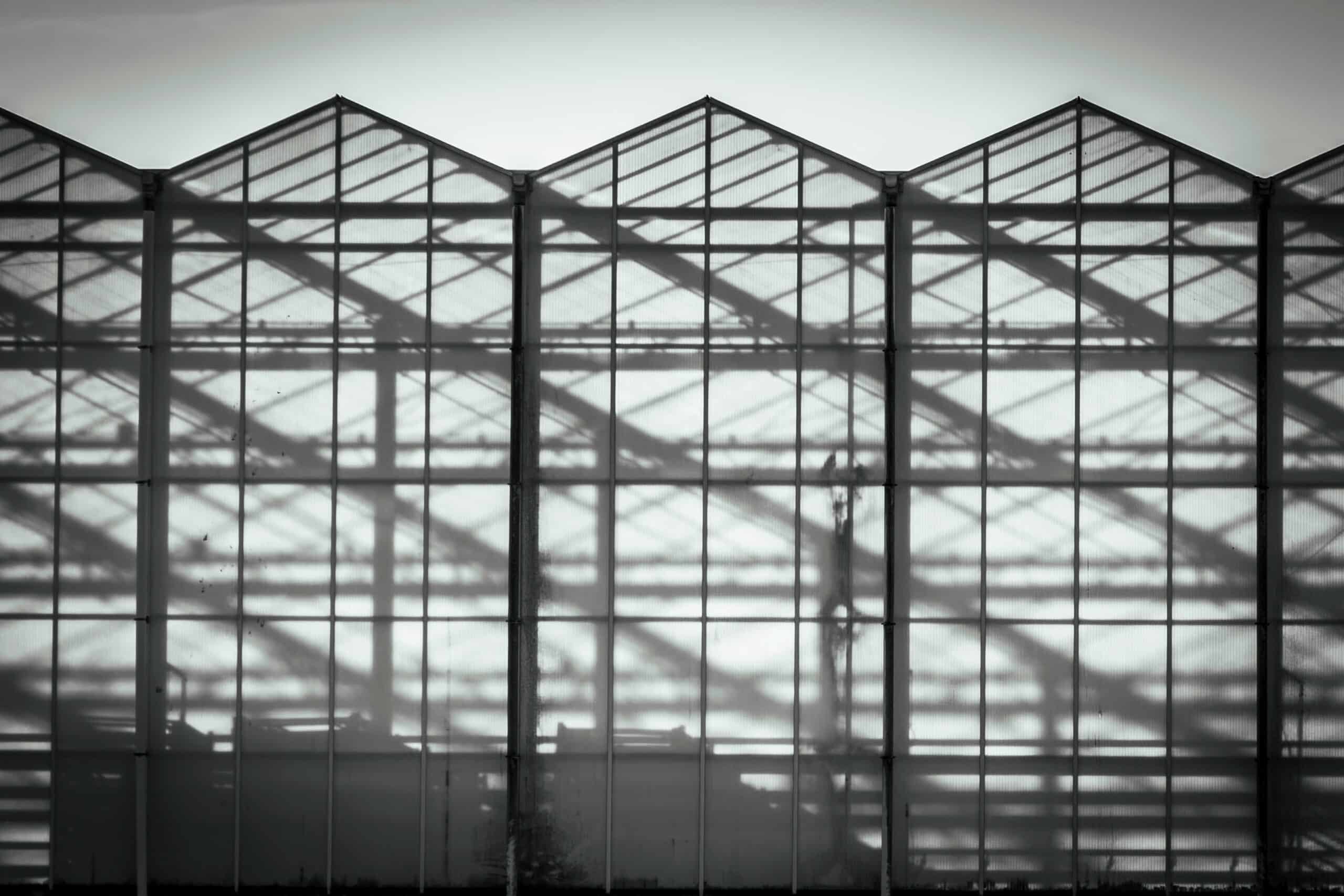 The Future of CEA: Key Insights from Industry Experts