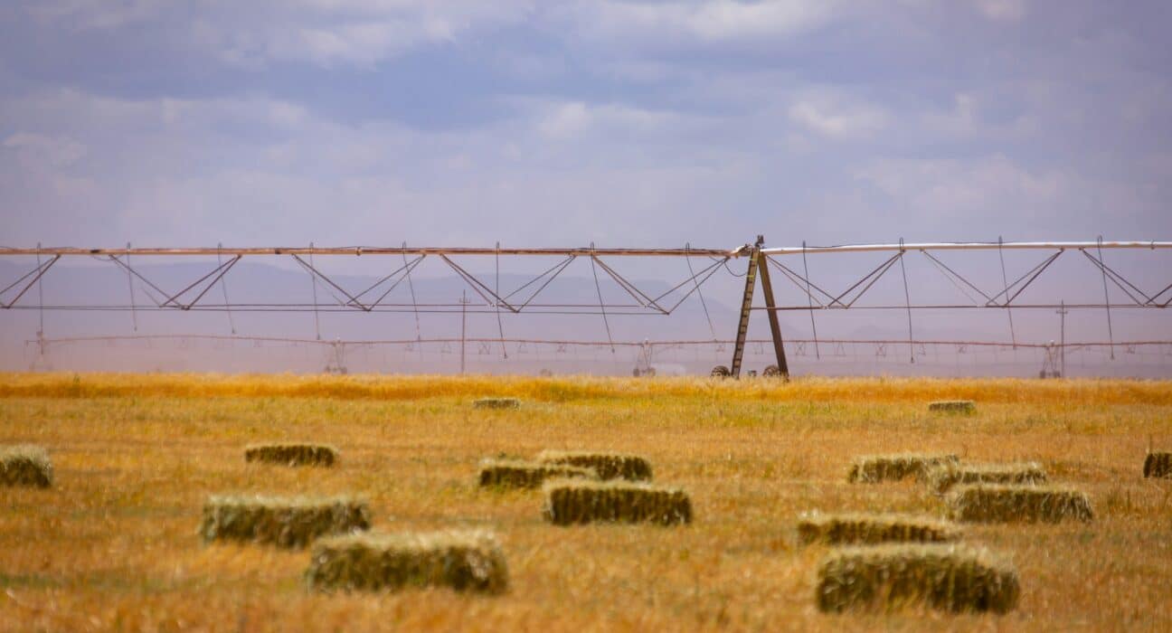 Synagro Technologies, a North American provider of sustainable biosolids & organics management solutions, acquired the assets of Nutri-Blend.
