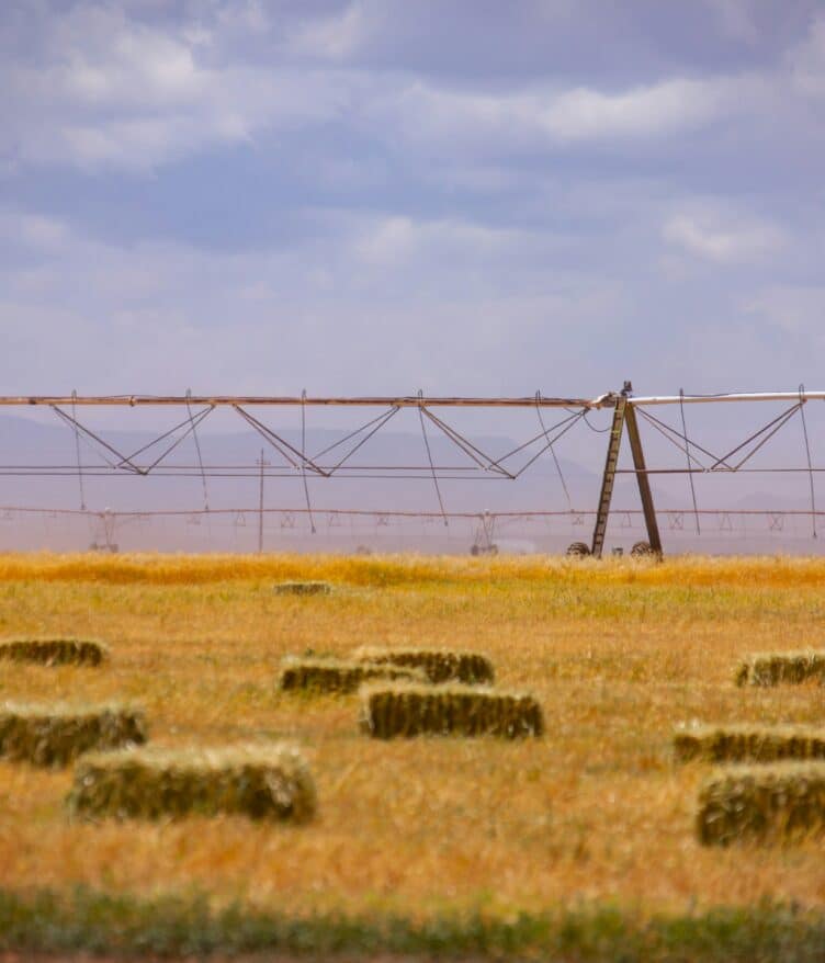 Synagro Technologies, a North American provider of sustainable biosolids & organics management solutions, acquired the assets of Nutri-Blend.