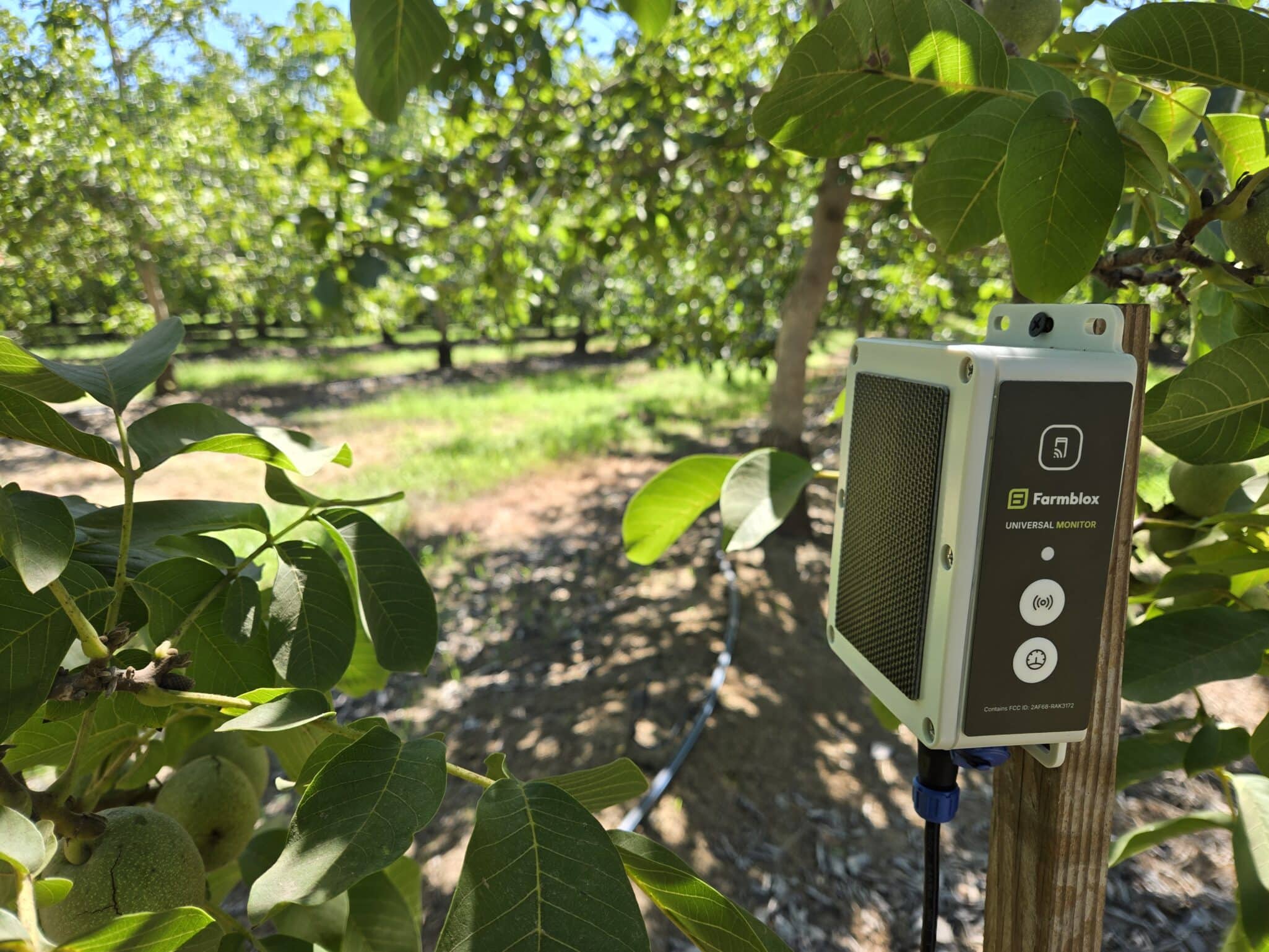 Farmblox relocates HQ to Santa Cruz, CA, expanding orchard-focused AgTech innovation while keeping strong ties to Vermont maple markets.