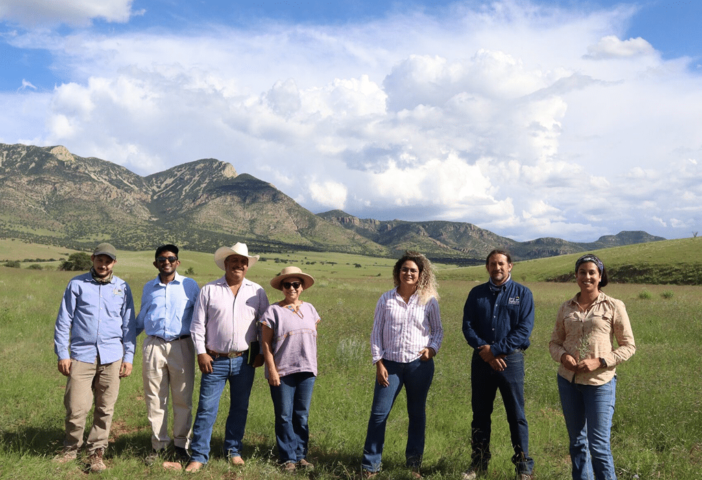Boomitra announced the issuance of 3.03 million soil carbon credits from its Northern Mexico Grassland Restoration Project, marking the largest Verra-verified soil carbon project in history.