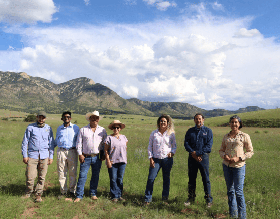 Boomitra announced the issuance of 3.03 million soil carbon credits from its Northern Mexico Grassland Restoration Project, marking the largest Verra-verified soil carbon project in history.
