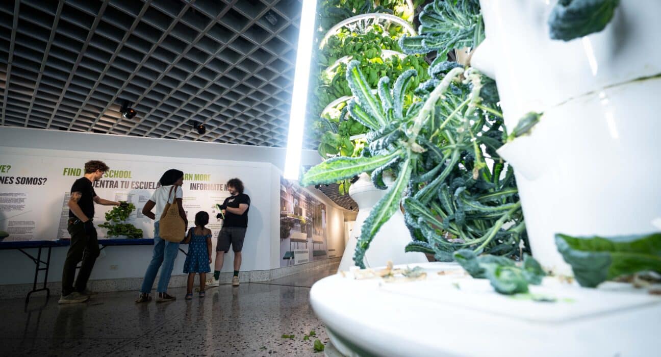 New York Sun Works and the New York Hall of Science (NYSCI) recently welcomed Queens families to take part in a harvest of over 50 pounds of fresh produce.