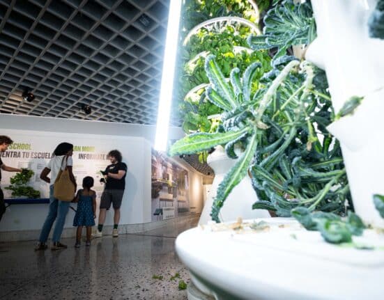 New York Sun Works and the New York Hall of Science (NYSCI) recently welcomed Queens families to take part in a harvest of over 50 pounds of fresh produce.