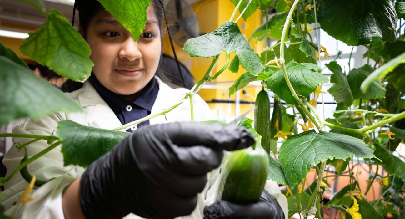 NY Sun Works opened a new hydroponic classroom at KAPPA MS 215 in the Bronx, supported by Bronx Borough President Vanessa L. Gibson.