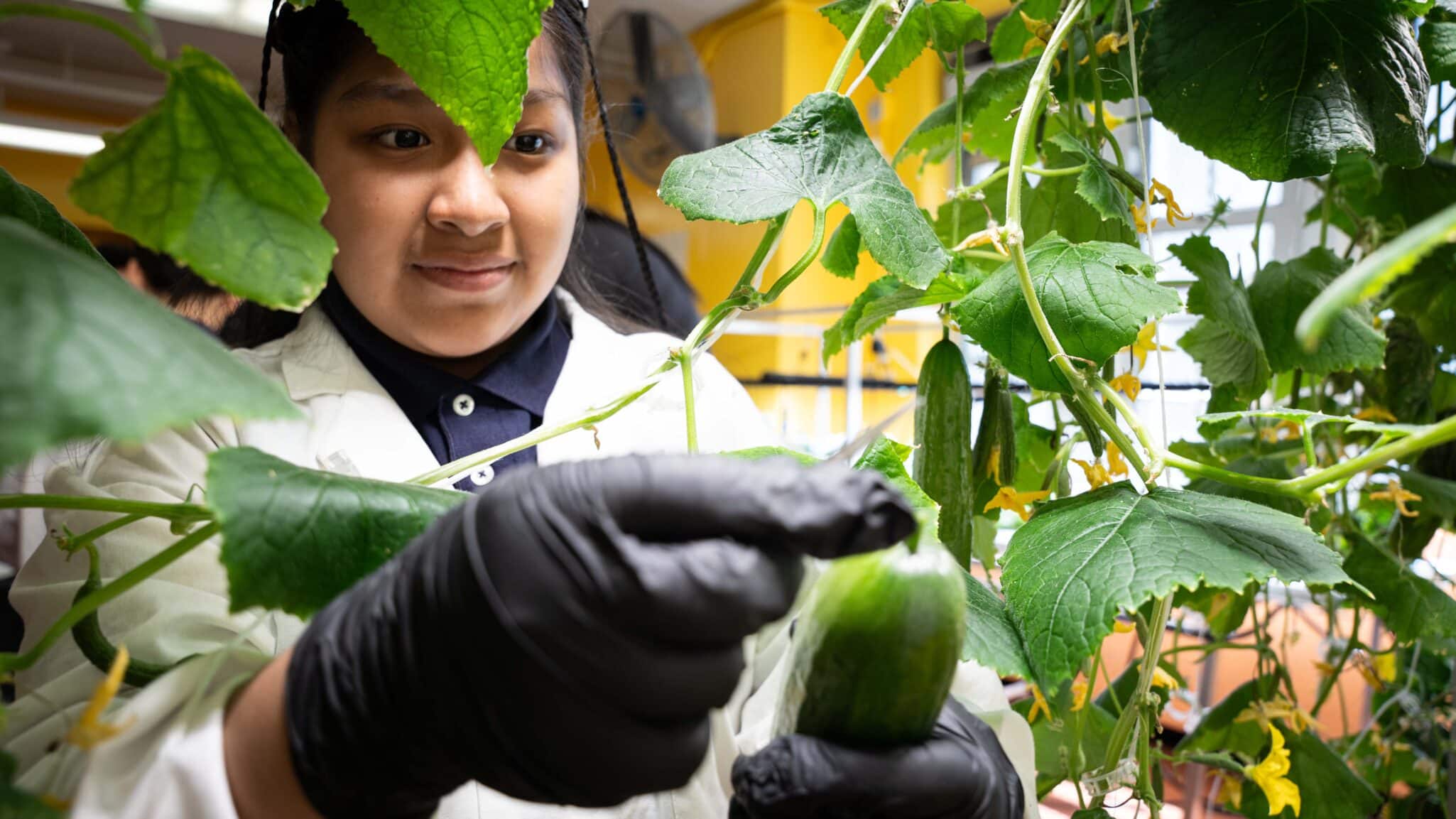 NY Sun Works opened a new hydroponic classroom at KAPPA MS 215 in the Bronx, supported by Bronx Borough President Vanessa L. Gibson.