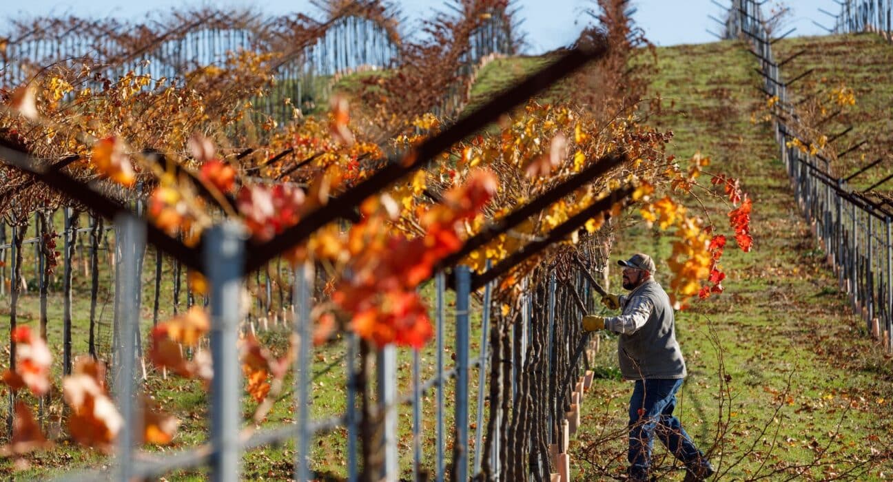 Noble Research Institute has introduced Noble Orchard Essentials, a new 3-day in-person course for orchardists and viticulturists transitioning to regenerative management.