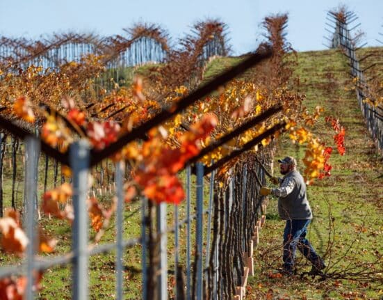 Noble Research Institute has introduced Noble Orchard Essentials, a new 3-day in-person course for orchardists and viticulturists transitioning to regenerative management.