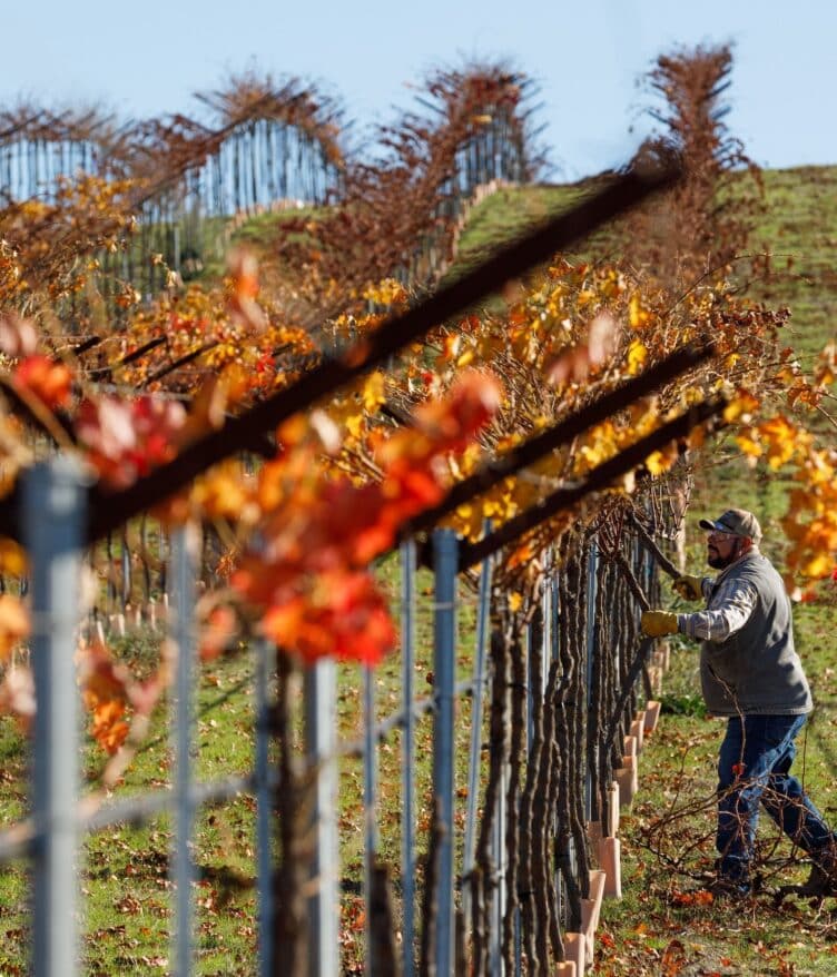 Noble Research Institute has introduced Noble Orchard Essentials, a new 3-day in-person course for orchardists and viticulturists transitioning to regenerative management.