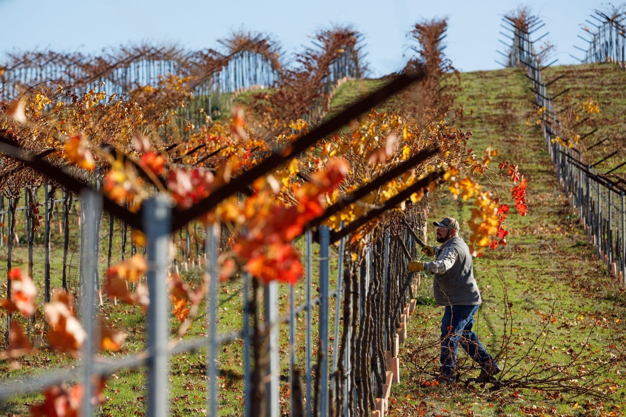 Noble Research Institute has introduced Noble Orchard Essentials, a new 3-day in-person course for orchardists and viticulturists transitioning to regenerative management.