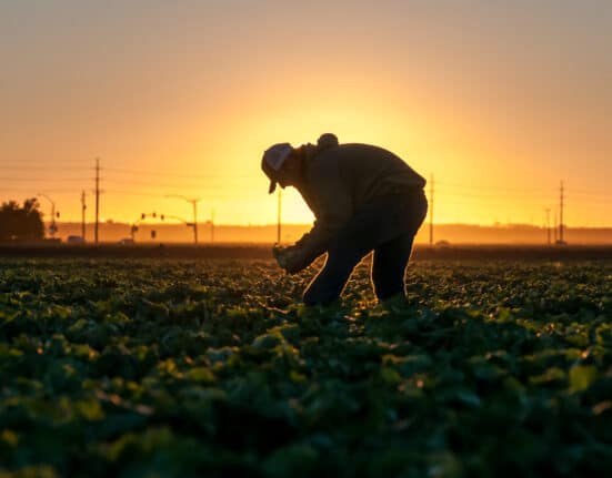 Taylor Farms released its 2025 Impact Report, showcasing efforts to improve products, processes, and community engagement.