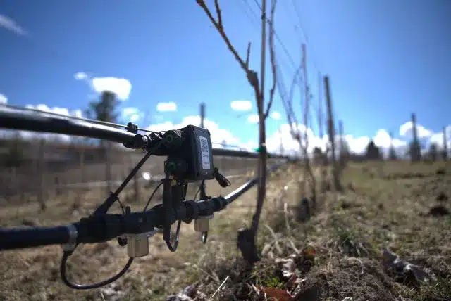 UC ANR Innovate has been awarded $15.1 million to establish California’s first coordinated agricultural innovation network.