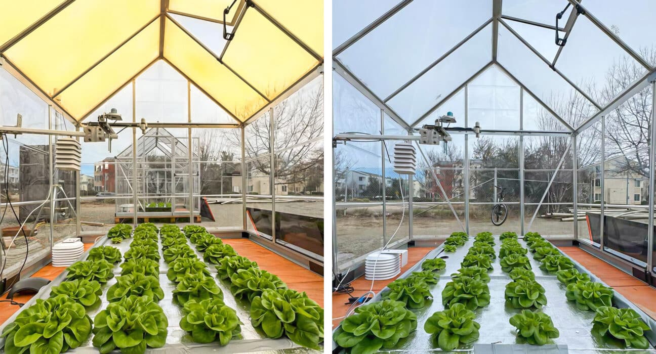 USDA-funded UC Davis study shows UbiQD’s quantum dot glass boosts greenhouse crop yield, nutrition, and light-use efficiency sustainably.