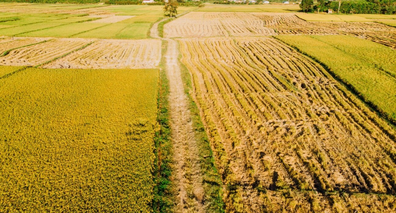 Planet Tracker has released a new report analyzing Brazil’s fertiliser strategy and its implications for climate, nature, and the economy.