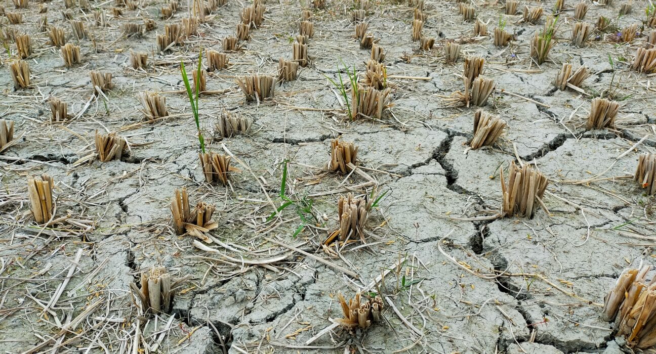 AccuWeather expects above-average summer temperatures in 45 states, driving up electricity usage and wildfire risk.