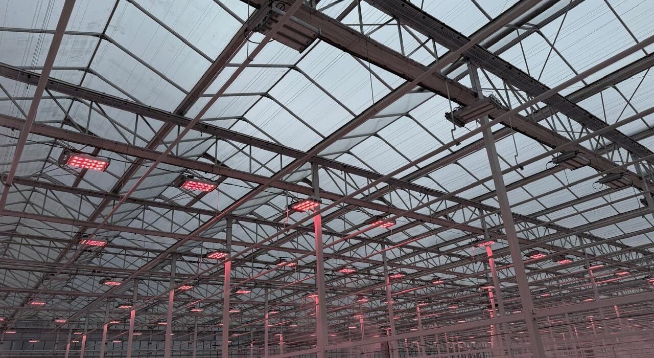 VegPro International inaugurates new 5.2-hectare Vermax glass greenhouse in Sherrington, Quebec.