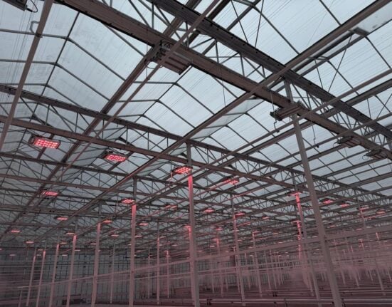 VegPro International inaugurates new 5.2-hectare Vermax glass greenhouse in Sherrington, Quebec.