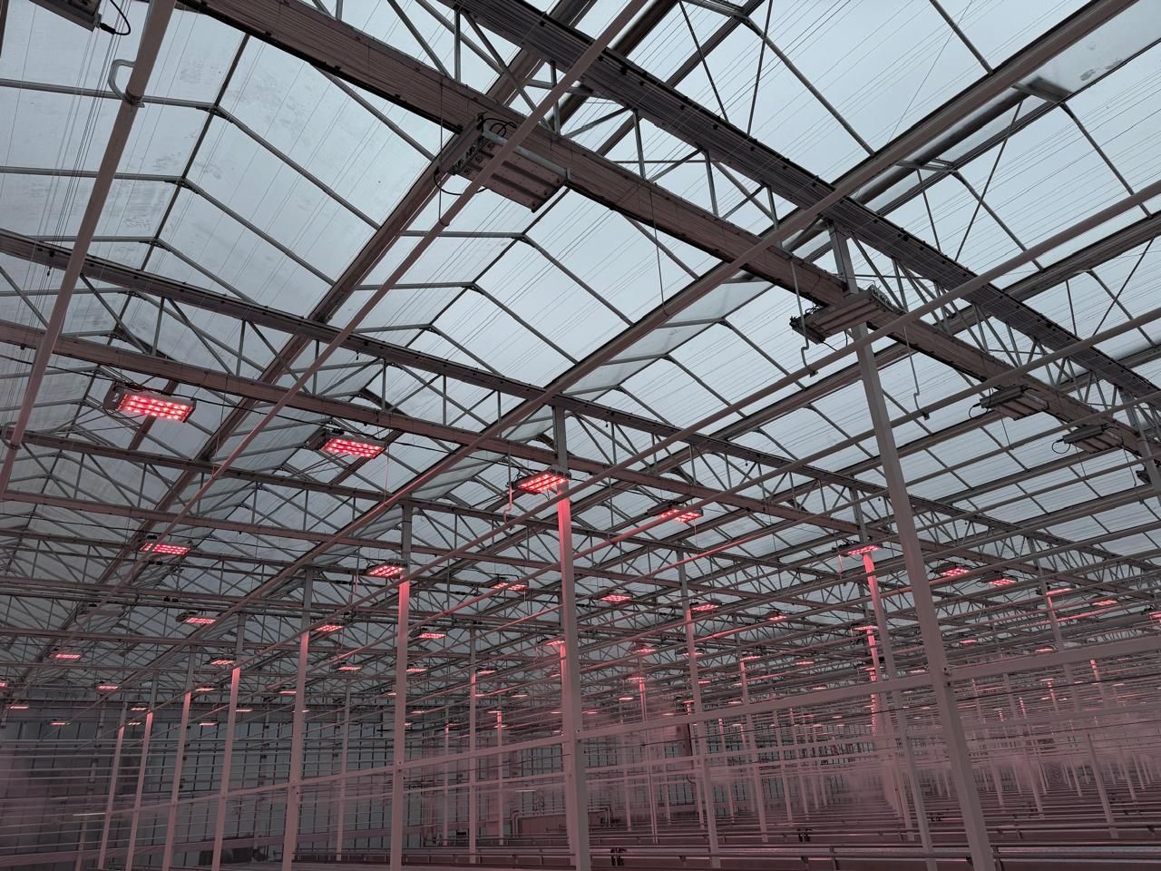 VegPro International inaugurates new 5.2-hectare Vermax glass greenhouse in Sherrington, Quebec.
