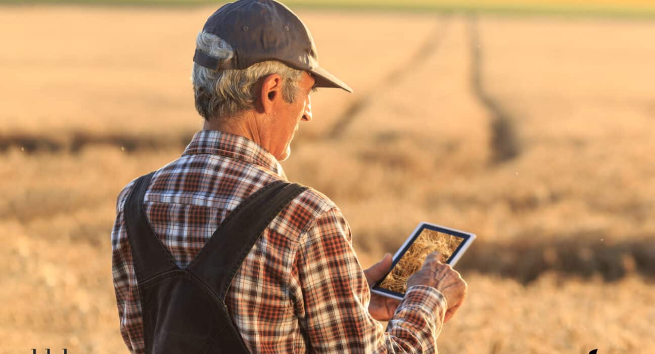 Al Dahra will deploy Syngenta’s Cropwise® Operations platform across farms in Romania, Serbia, Egypt, and Morocco.