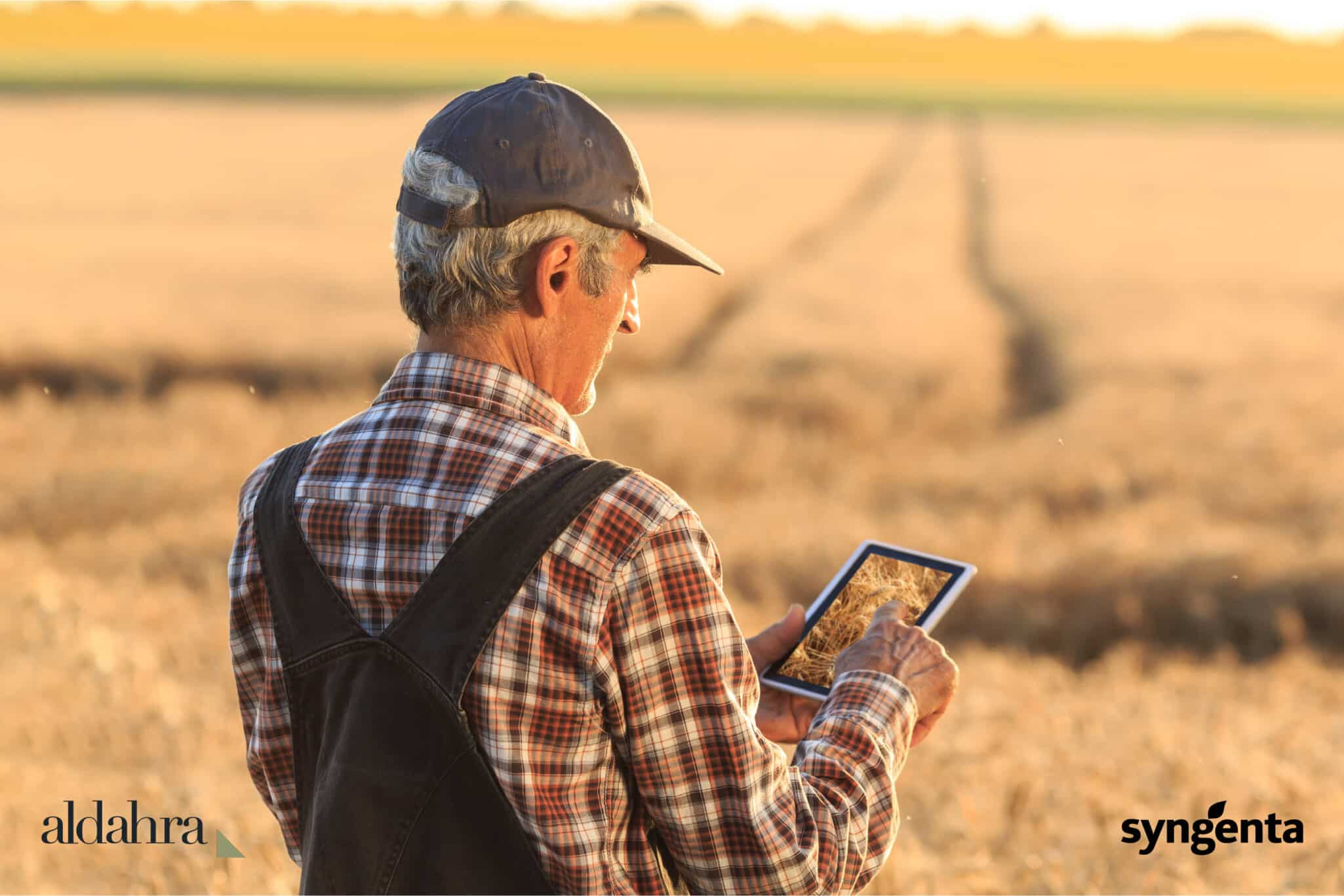 Al Dahra will deploy Syngenta’s Cropwise® Operations platform across farms in Romania, Serbia, Egypt, and Morocco.
