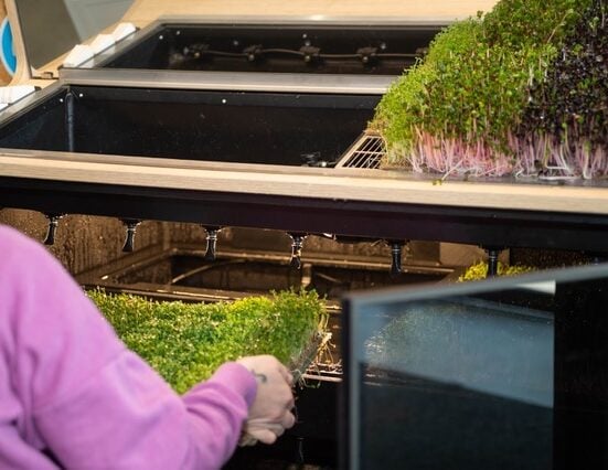 StoreField®, a Slovak startup, has launched its first in-store Growing System at Nom Nom Asia in Bratislava's Fresh Market.