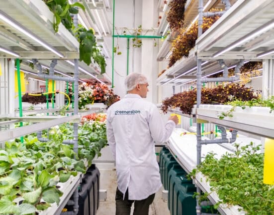 Greeneration operates a high-end vertical farm in Dubai focused on edible flowers, microgreens, and specialty leaves for premium HoReCa.