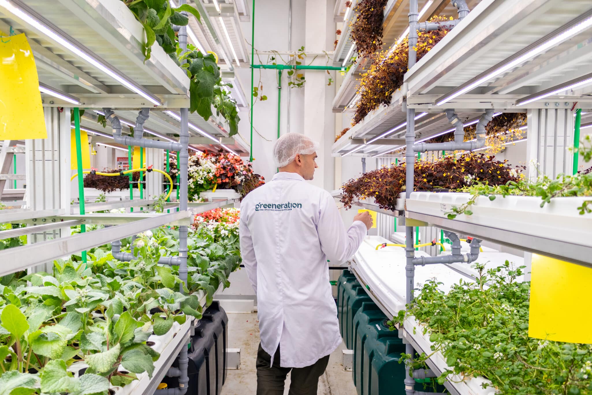 Greeneration operates a high-end vertical farm in Dubai focused on edible flowers, microgreens, and specialty leaves for premium HoReCa.