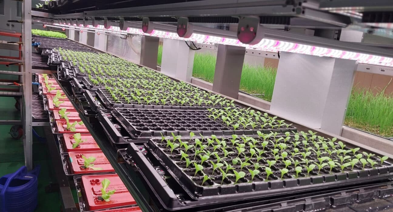 Farmers Lab Ltd. introduces BK Conveyor Culture (BKCC), a horizontal conveyor-style vertical farming system.