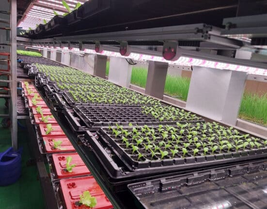 Farmers Lab Ltd. introduces BK Conveyor Culture (BKCC), a horizontal conveyor-style vertical farming system.