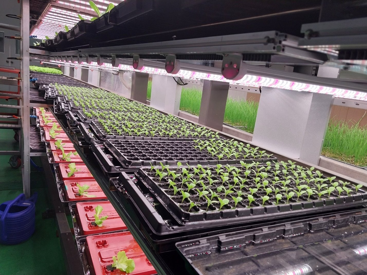 Farmers Lab Ltd. introduces BK Conveyor Culture (BKCC), a horizontal conveyor-style vertical farming system.